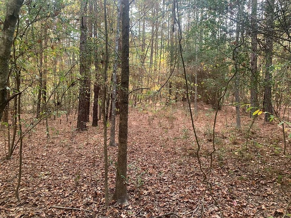 0 SW Dalton Ln, Smithdale, MS 39664 MLS 140339 Zillow