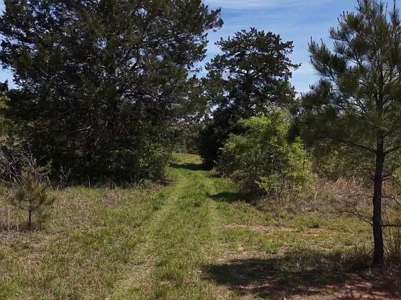 5th image of 1600 County Road 125 #1