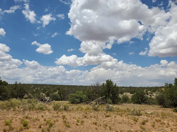 5463 S Estrella Rd, Williams, AZ 86046