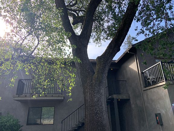 4th image of 1530 Main St #1530