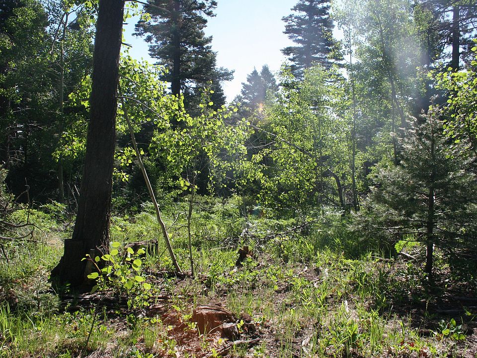 1st image of 1587 Chalice Dr
