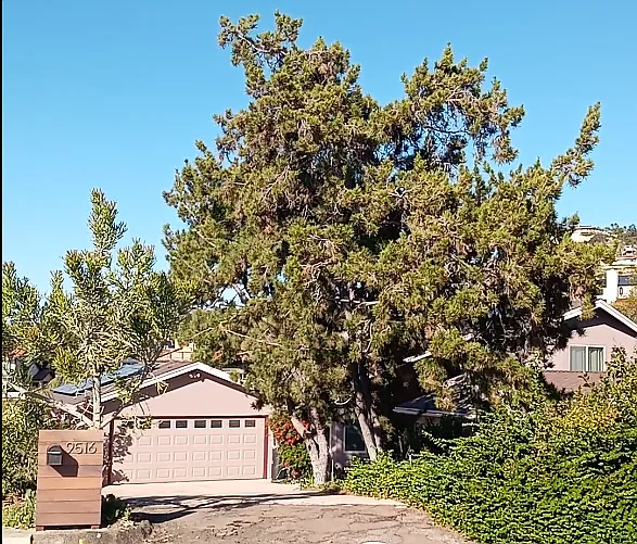 9516 Bonnie Lynn Way #C — Photo 14