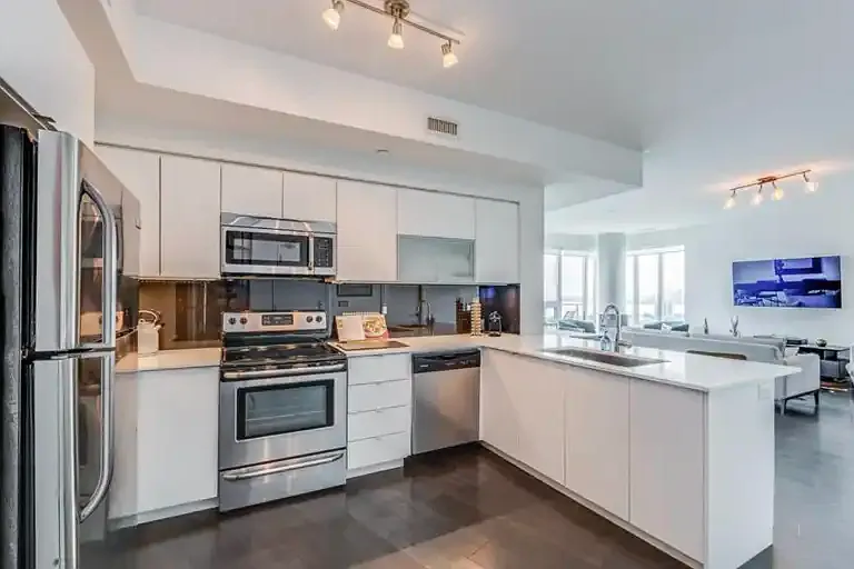 150 E Liberty St #3013 — Photo 11
