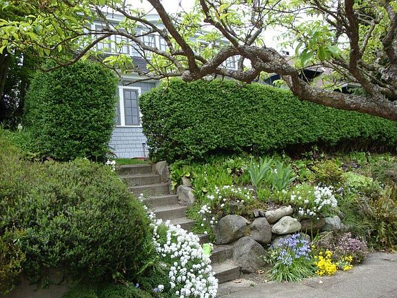 street view from near sidewalk