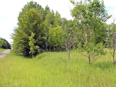 0 Glovers Lake Rd, Bear Lake, MI, 49614