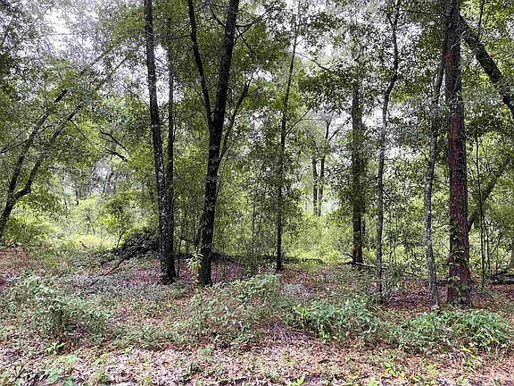 4th image of 497 McPhaul Rd