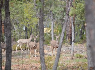 3920 S Elk Trot Loop, Show Low, AZ 85901