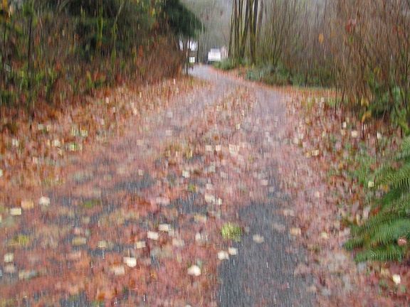 Photo taken Nov'03