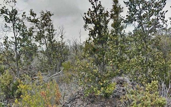 5th image of Tiki Lane Lot 26
