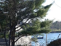 2nd image of 8 Elizabeth Ave