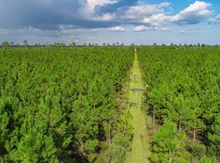 Xx1 Hwy #71, Wewahitchka, FL 32465