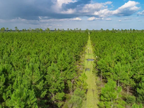 Xx1 Hwy #71, Wewahitchka, FL 32465