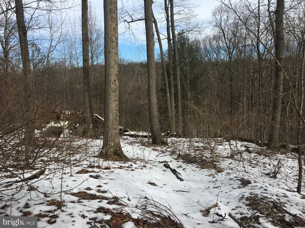 53 Gallatin Dr, Oakland, MD 21550