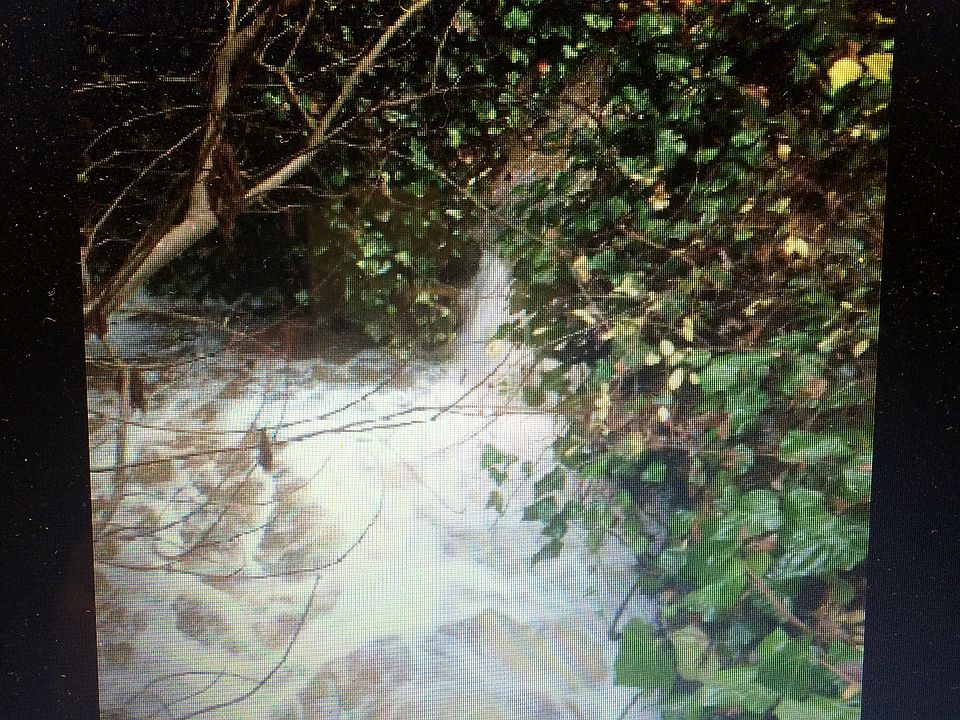 2nd image of 2348 Stone Valley Rd