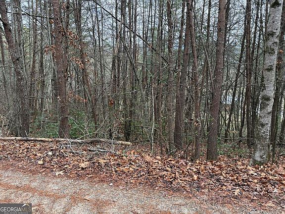 4th image of 28 Ideal Acres Rd