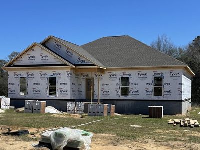233 Mockingbird Trl, Newton, AL, 36352
