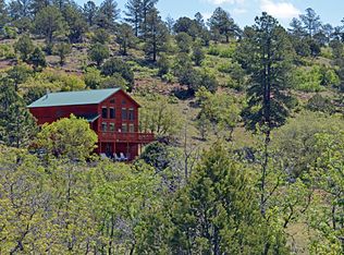 295 Cheyenne Rd, Guffey, CO 80820