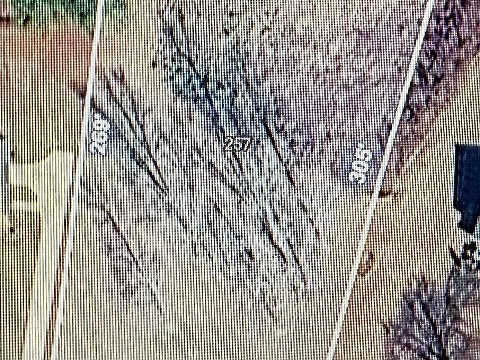 1st image of 257 Edenwylde Ct
