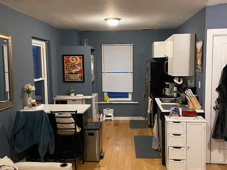 517 Green Ln #2 — Photo 3