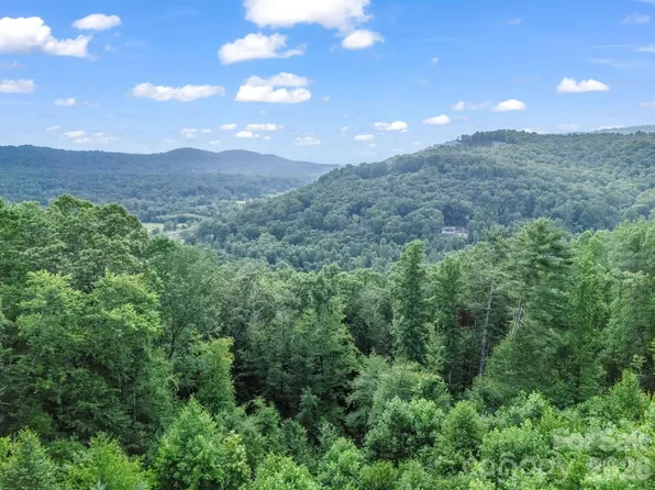 Davenport Hills Rd, Hendersonville, NC 28739