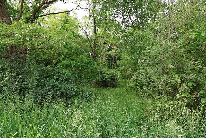 1st image of Dotson Drive Vacant Dr
