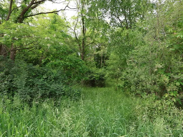 Dotson Drive Vacant Dr, Sherwood, MI 49089