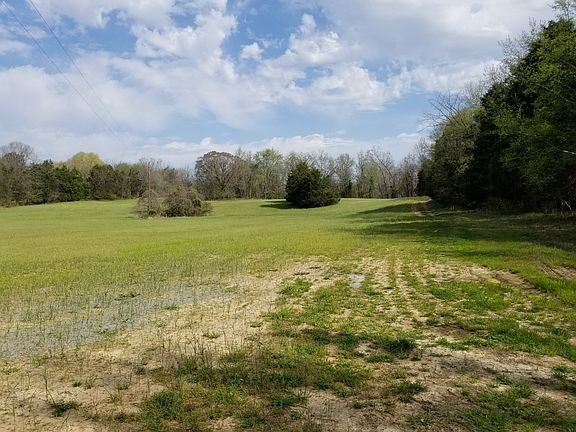 3rd image of 989 Britton Springs Rd