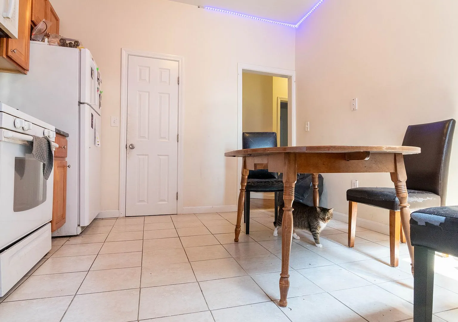 No Brokers Fee, Oak Sq Area, Laundry on a Site, Eat-in Kitchen, Big Bedrooms — Photo 1