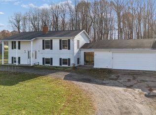 8603 Killinger Rd, Fowlerville, MI 48836