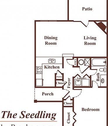 The Seedling The Seedling