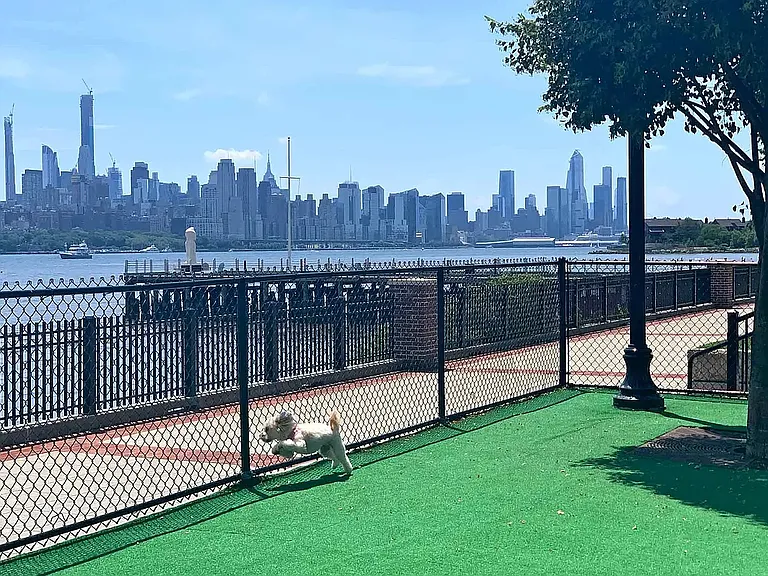 The View at Edgewater — Photo 11