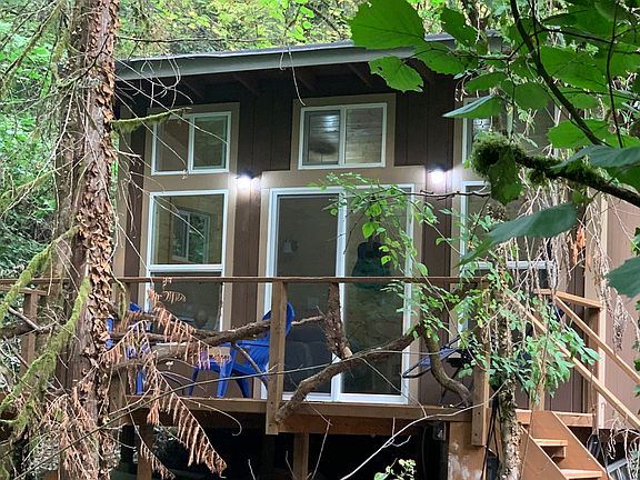 Sasquatch's Tiny Tree Home from directly across the creek.