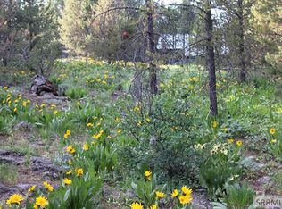 0 Buffalo Ln, Island Park, ID 83429