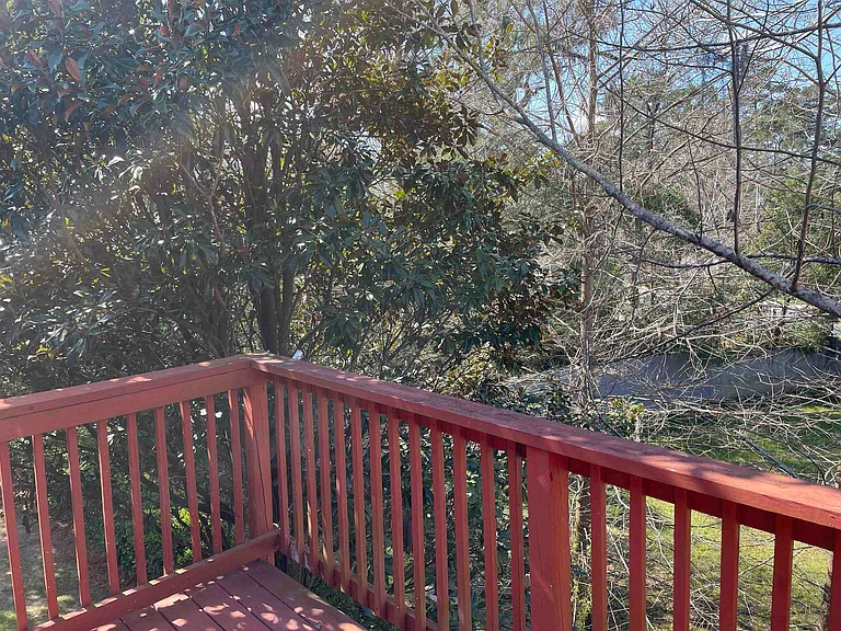 2315 Timber Oaks Ln — Photo 14