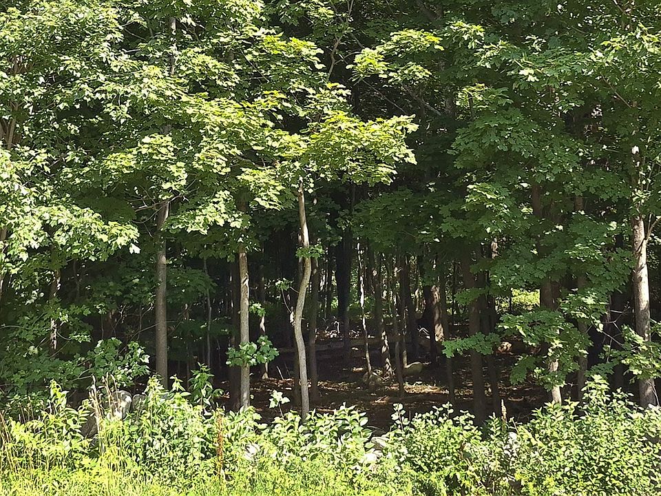 2nd image of 125 Topsfield Rd