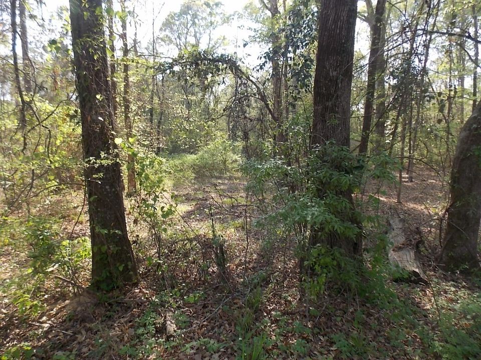 2nd image of 721 Grays Creek Rd