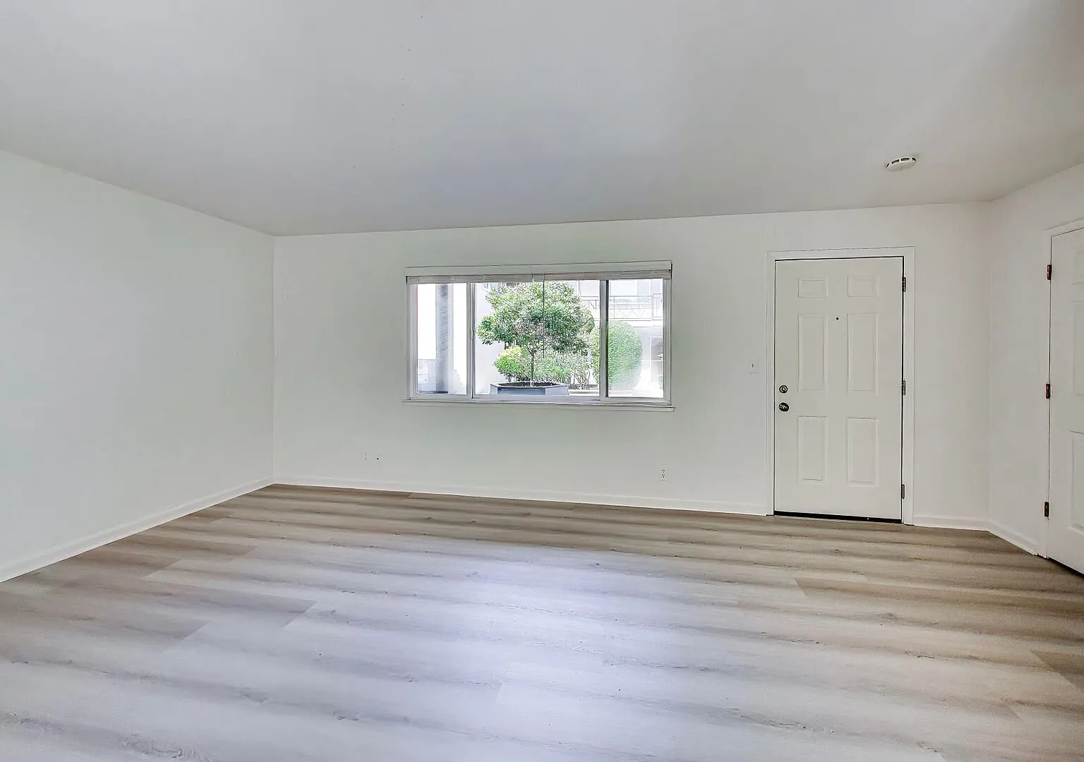 Newly Renovated, Spacious Two Bedroom — Photo 2