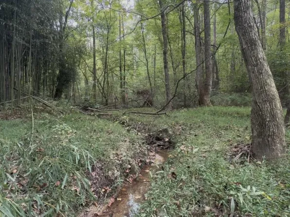Township Road 4 Ikes Cir, Ellijay, GA 30536