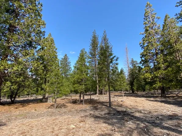 LOT 62 Hidden Meadow Dr, Weed, CA 96094