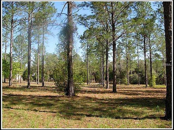 4th image of 35651 High Pines Dr
