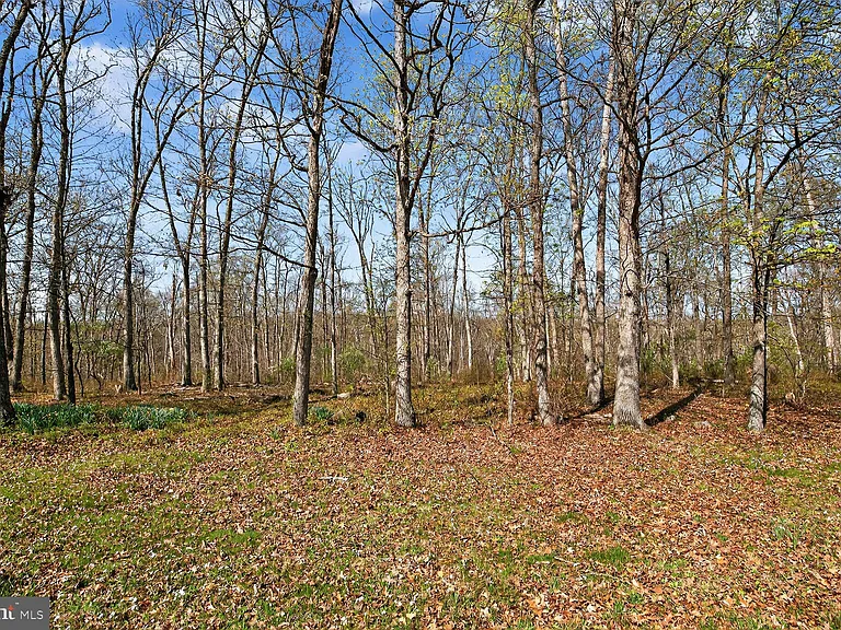 21733 Oatlands Rd — Photo 48