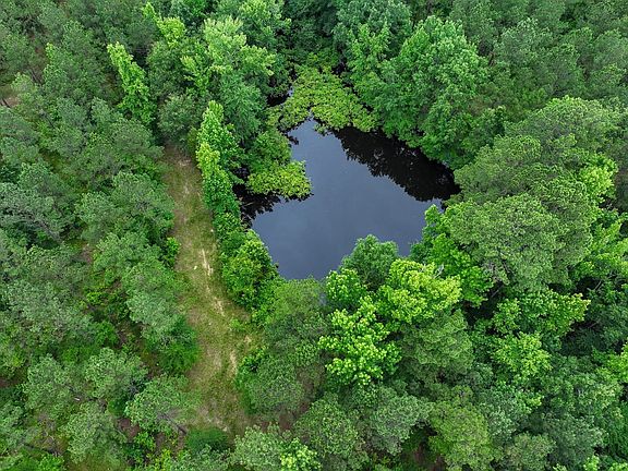 Dji 20260612122627 0394 D
