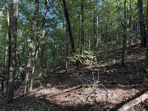 5th image of J349 Mountain View Ct