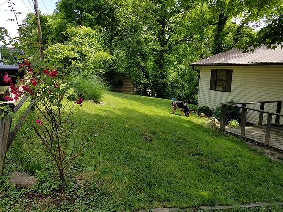 Front yard with split rail fence