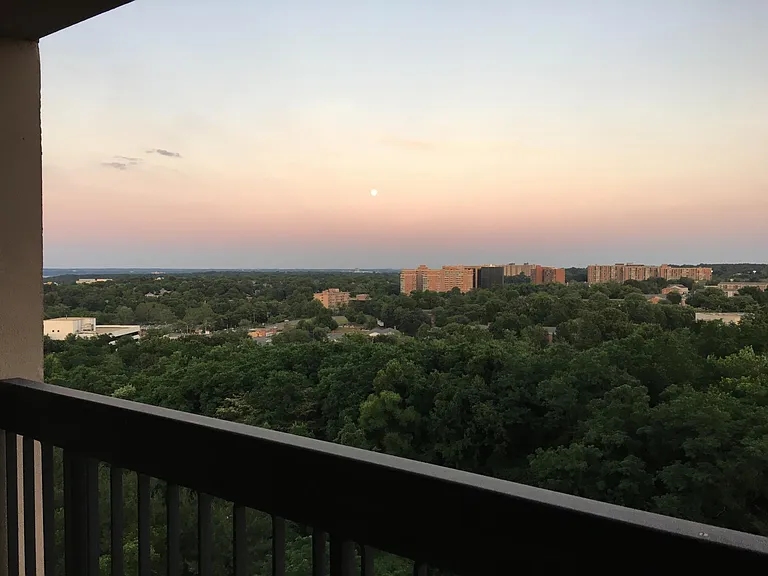 3705 S George Mason Dr #1108S — Photo 17