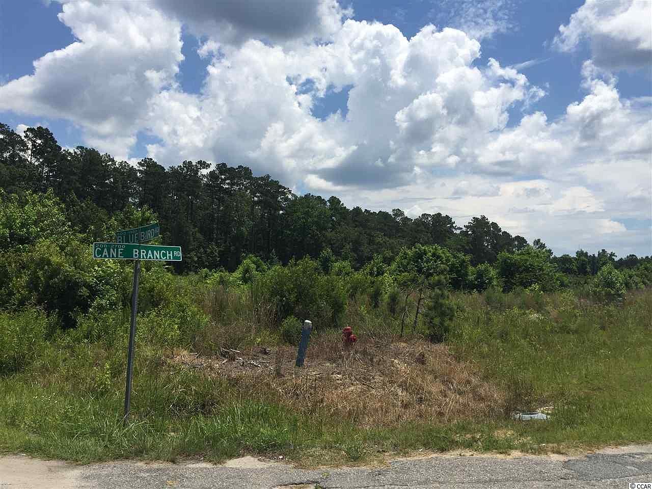 TBD Cane Branch Rd. UNIT TBD Blue Bird Rd, Loris, SC 29569 | Zillow