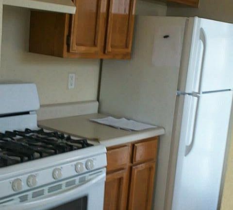 4th image of 1604 Glenn James Pl
