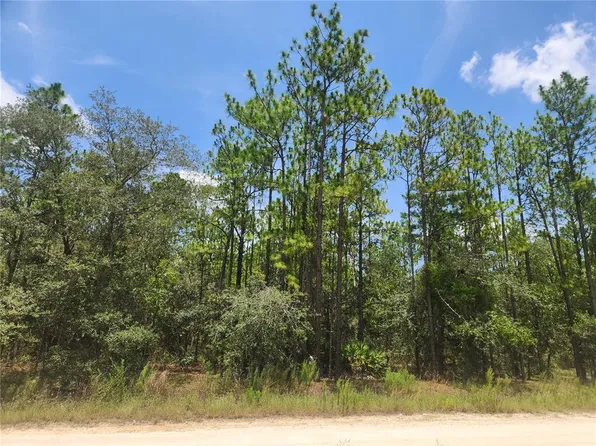 SW 76th Ln Lot 1, Dunnellon, FL 34432