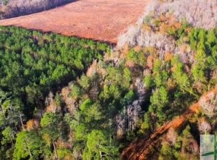 101 101/lt 4 Groover Rd, Ludowici, GA 31316