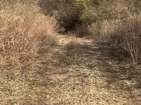 55A Asbury Rd, Independence Twp., NJ 07840